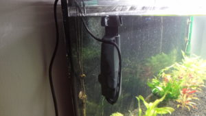 Eheim skim 350 v akvariu